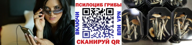 Галлюциногенные грибы прущие грибы  Купить где  Кочубеевское 